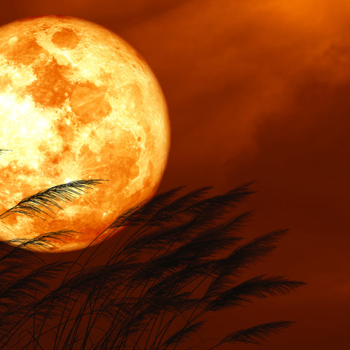 luna capsuna din 2025, un fenomen astronomic spectaculos