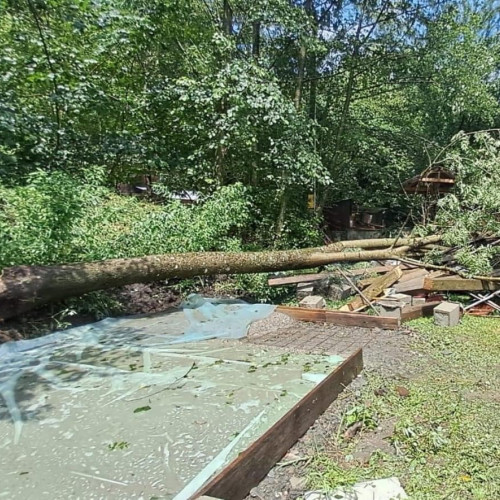 Probleme în alimentarea cu energie electrică în județul Gorj din cauza fenomenelor meteo