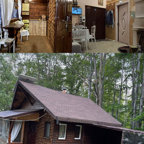 Cabana de poveste din Plaiul Bumbesti-Jiu - Sadu scoasă la vânzare la preț de garsonieră