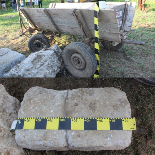 incident în Gorj: polițiști au intervenit pentru protejarea animalelor bănuite de schingiuire