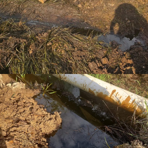 Garda de Mediu Gorj a semnalat un incident grav de mediu la un operator din județ, specializat în extracția de petrol și gaze naturale. În urma unui control, comisarii au descoperit o scurgere accidentală pe un colector de pompare a amestecului de țiței și apă sărată, cauzată de coroziunea conductei. Potrivit noteaza asingerj.ro, incidentul a dus la contaminarea solului cu substanțe periculoase, iar compania nu a luat măsuri pentru prevenirea riscurilor.