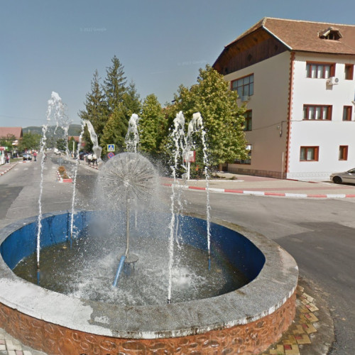 Primăria Tismana organizează concurs pentru funcția de șef serviciu buget, contabilitate și taxe locale