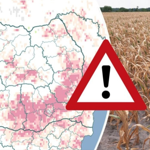 Vine seceta!