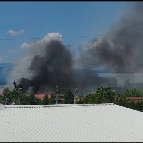 Incendiu într-un cartier din Târgu Jiu! FOTO