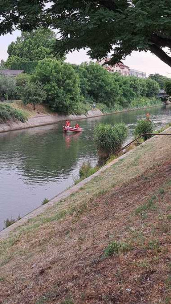 Image Description