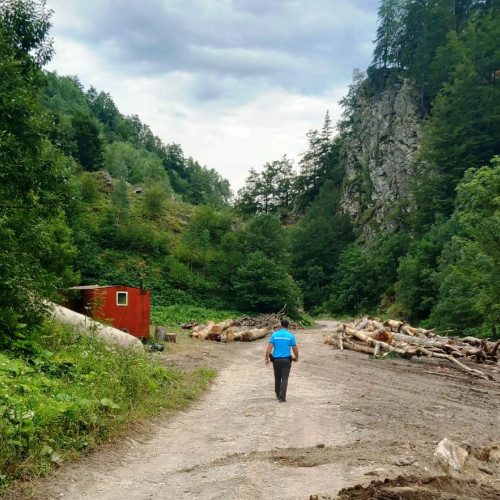 Prinși cu buștenii în albia râului! Doi gorjeni amendați cu 20.000 de lei de jandarmii montani din Runcu. FOTO