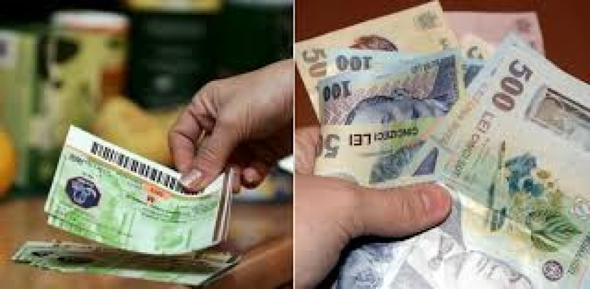Guvernul extinde tichetele sociale pentru alimente și elevi