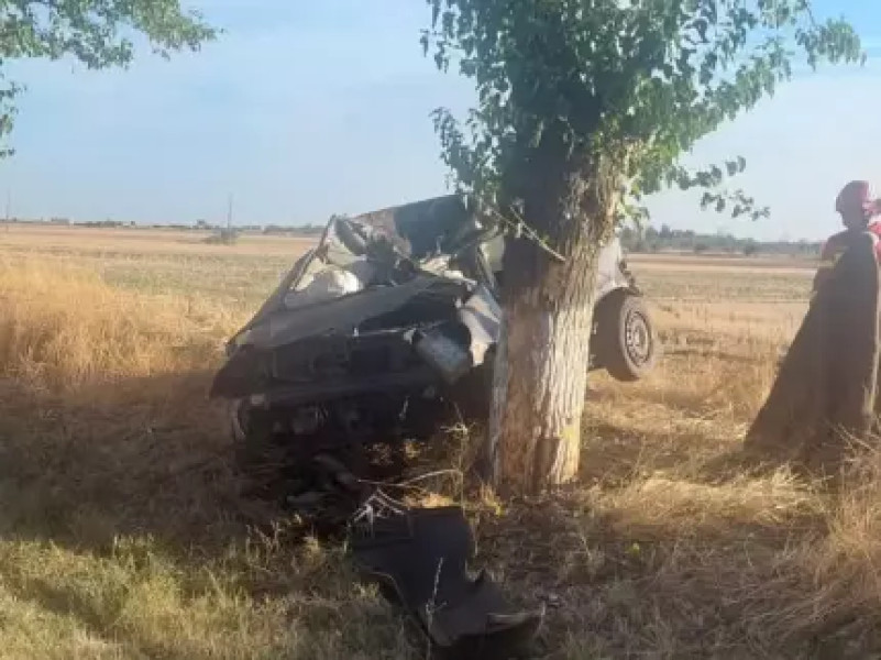 Și-a găsit sfârșitul la 18 ani, după ce a intrat cu mașina într-un pom pe DN54