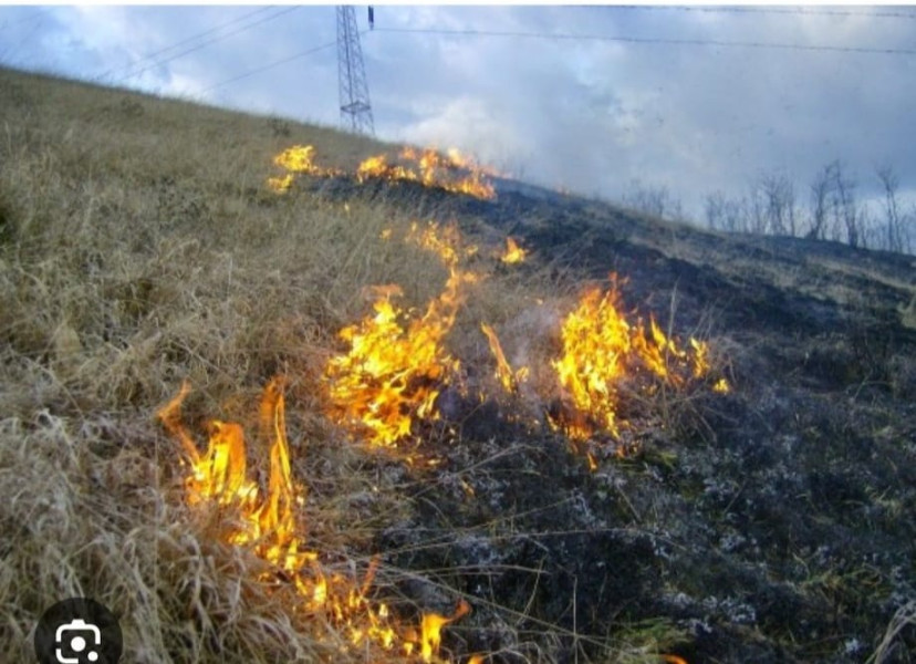 Incendiu de vegetație uscată în comuna Bălești, satul Cornești