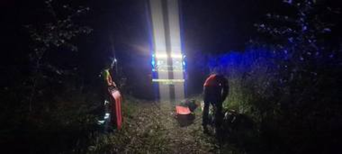 Bărbat de 39 de ani, decedat după ce un copac i-a căzut peste el în Baia Mare