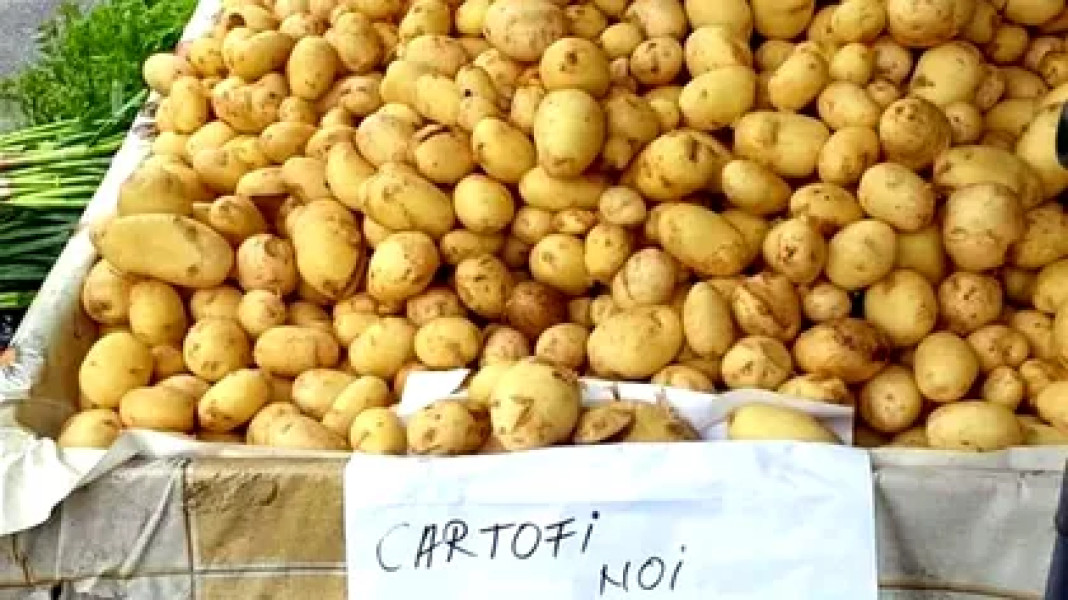Diferențe mari de preț la cartofi în piețele din marile orașe din România