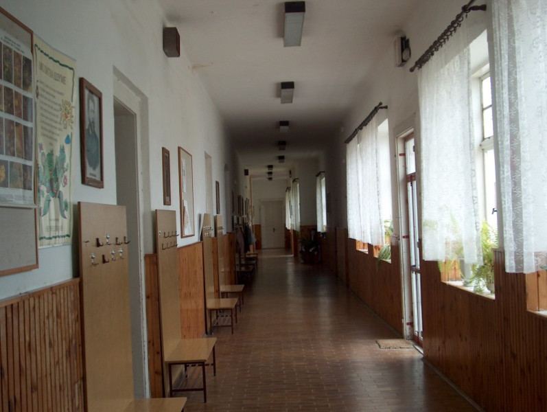 Anchetă deschisă de Inspectoratul Școlar Timiș după incidentul din grupurile sanitare
