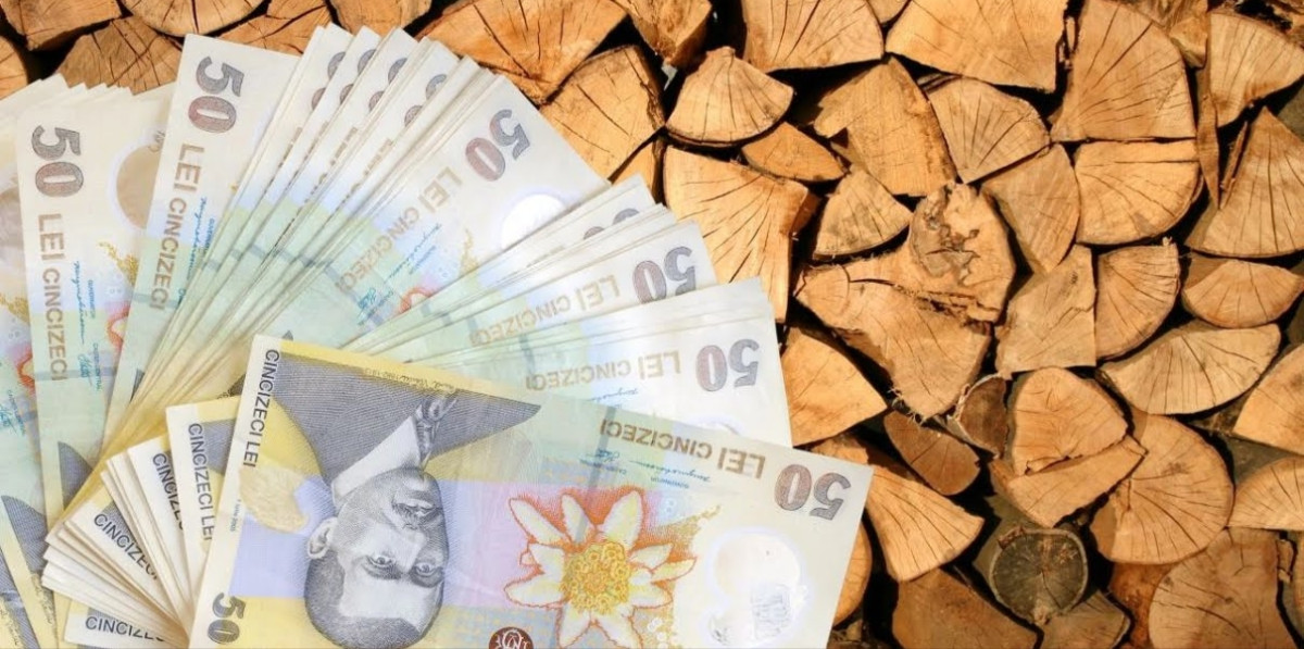 Gorjenii cumpără masiv lemne de foc în ciuda creșterii TVA-ului la 11%