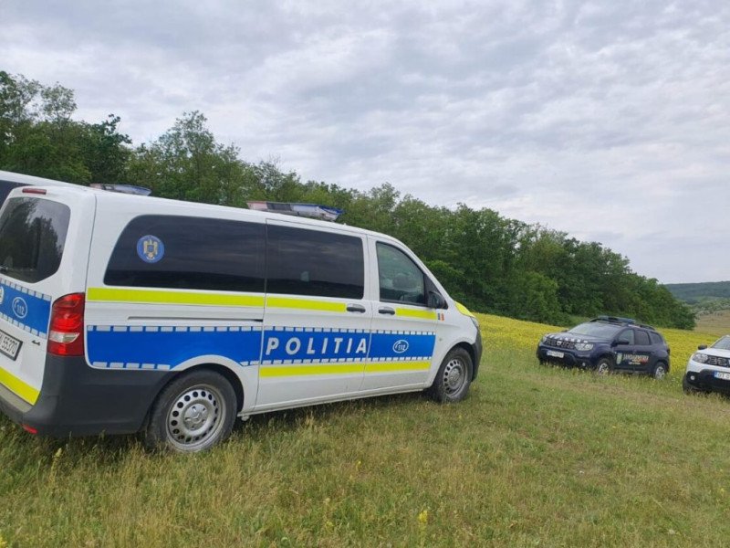 Descoperire macabră la marginea Sibiului: doi suspecți arestați pentru omor