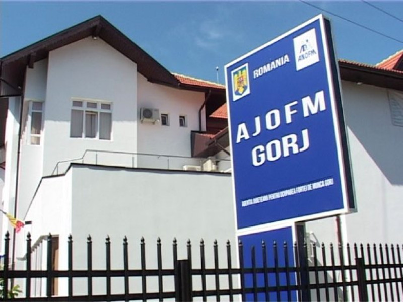 AJOFM Gorj oferă 618 posturi vacante în diverse domenii pentru șomeri