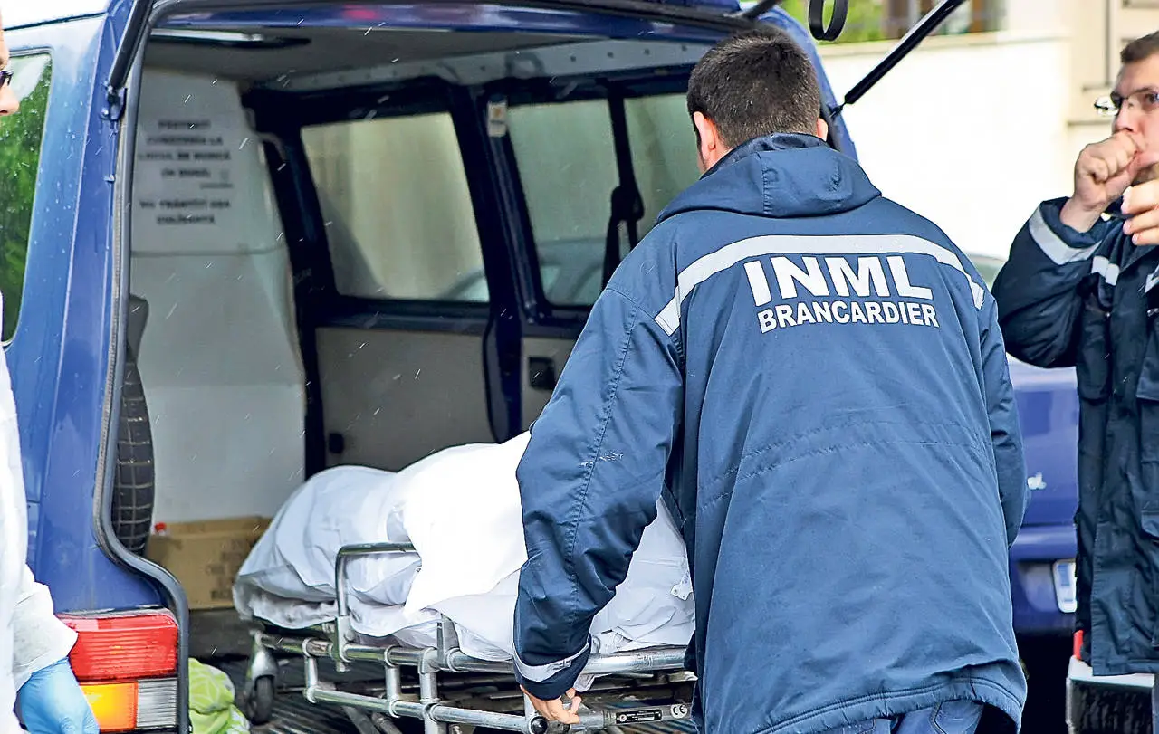 Bărbat de 70 de ani mort după ce a fost lovit de o creangă într-o pădure din Dâmbovița