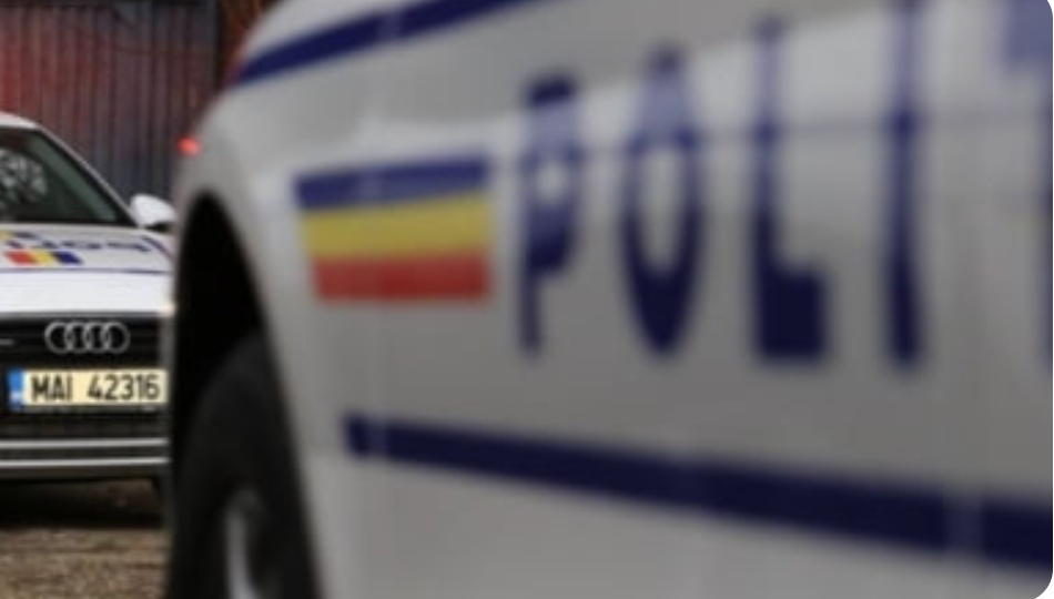 Biroul pentru Protecția Animalelor din Gorj a intensificat acțiunile împotriva abuzurilor în 2025