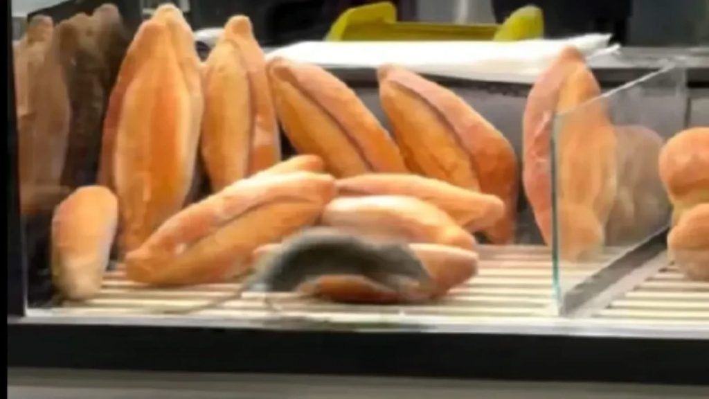Brutărie din Bucureşti închisă temporar după ce un şobolan a fost filmat printre produse