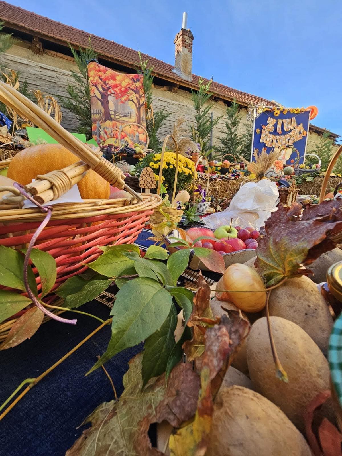 Turceni găzduiește festivalul tradițiilor și roadelor de toamnă în octombrie 2025