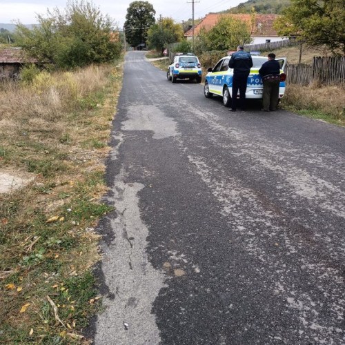 Bărbat agresiv din Padeș amenință cu moartea soția și fiica, poliția intervine