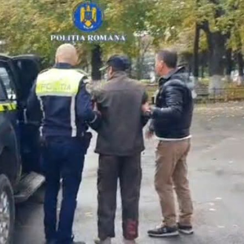 Bărbat din Cavadinești reținut după ce ar fi ucis câinele primit spre adopție