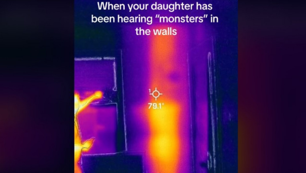 Image Description