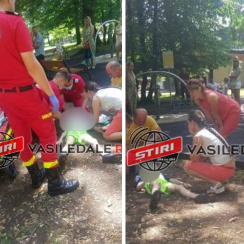 Incident grav în Parcul Municipal Regina Maria din Baia Mare