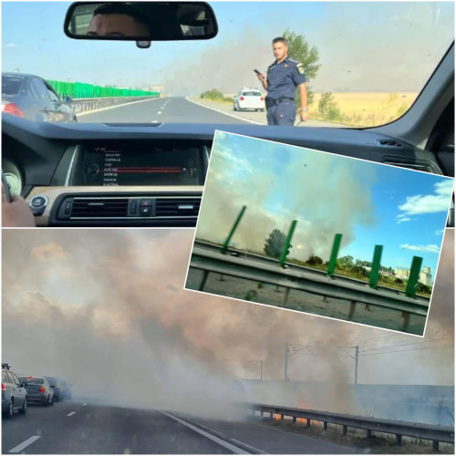 Incendiu de vegetație lângă autostrada A2 București-Constanța