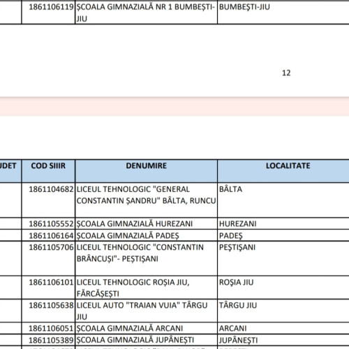 Nouă unități de învățământ din județul Gorj vor primi finanțare pentru reducerea abandonului școlar