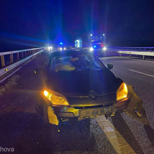 Accident rutier provocat de o bovină pe autostrada A3, în comuna Gherghița