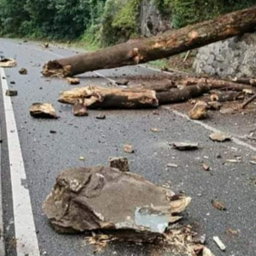 Trafic blocat pe Defileul Jiului din cauza unor bușteni și stânci căzute